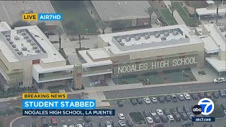 Student stabbed at Nogales High School in La Puente; one person detained