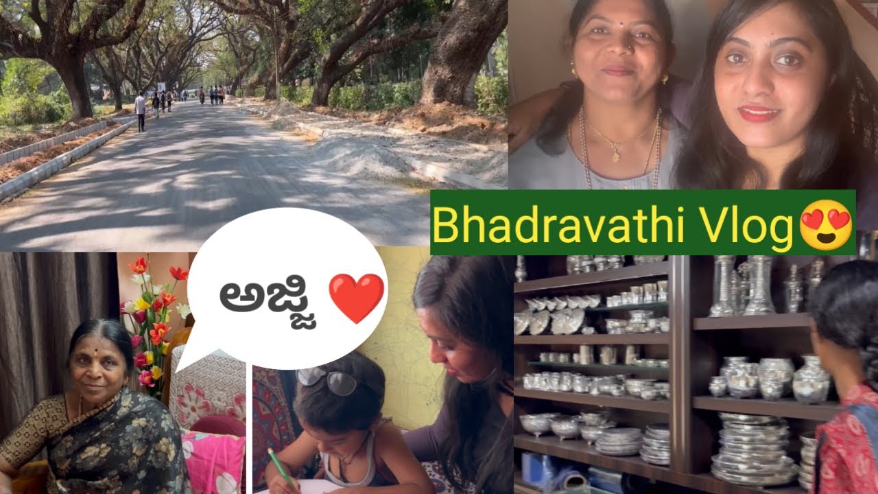 Bhadravathi Vlog😍| ಅಜ್ಜಿಗೆ ಖುಷಿ ಆಯ್ತ್ ಅಂತೆ ❤️| spending time with family 🥰 | shopping vlog 🛍️