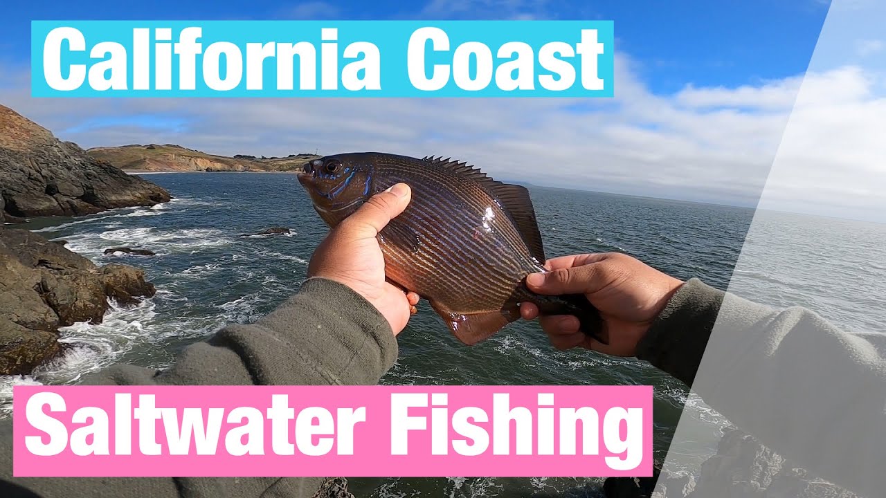California Coast Saltwater Fishing (near San Francisco) YouTube
