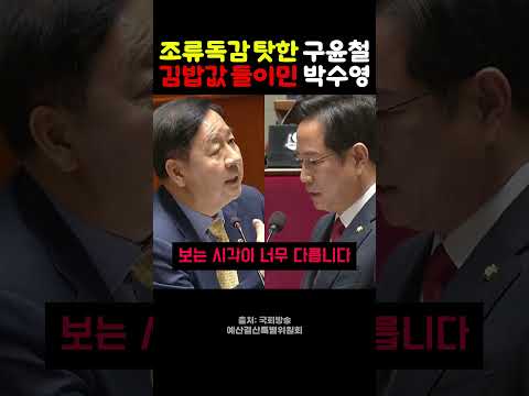 "김밥 한 줄 4000원, 계란 17% 올랐다" 박수영 질타에, 구윤철 "조류독감 탓"