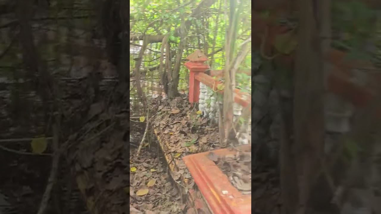 Pulau Pangkor teluk dalam