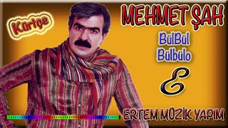 Mehmet Şah - Bülbül (Bülbülo) Resimi