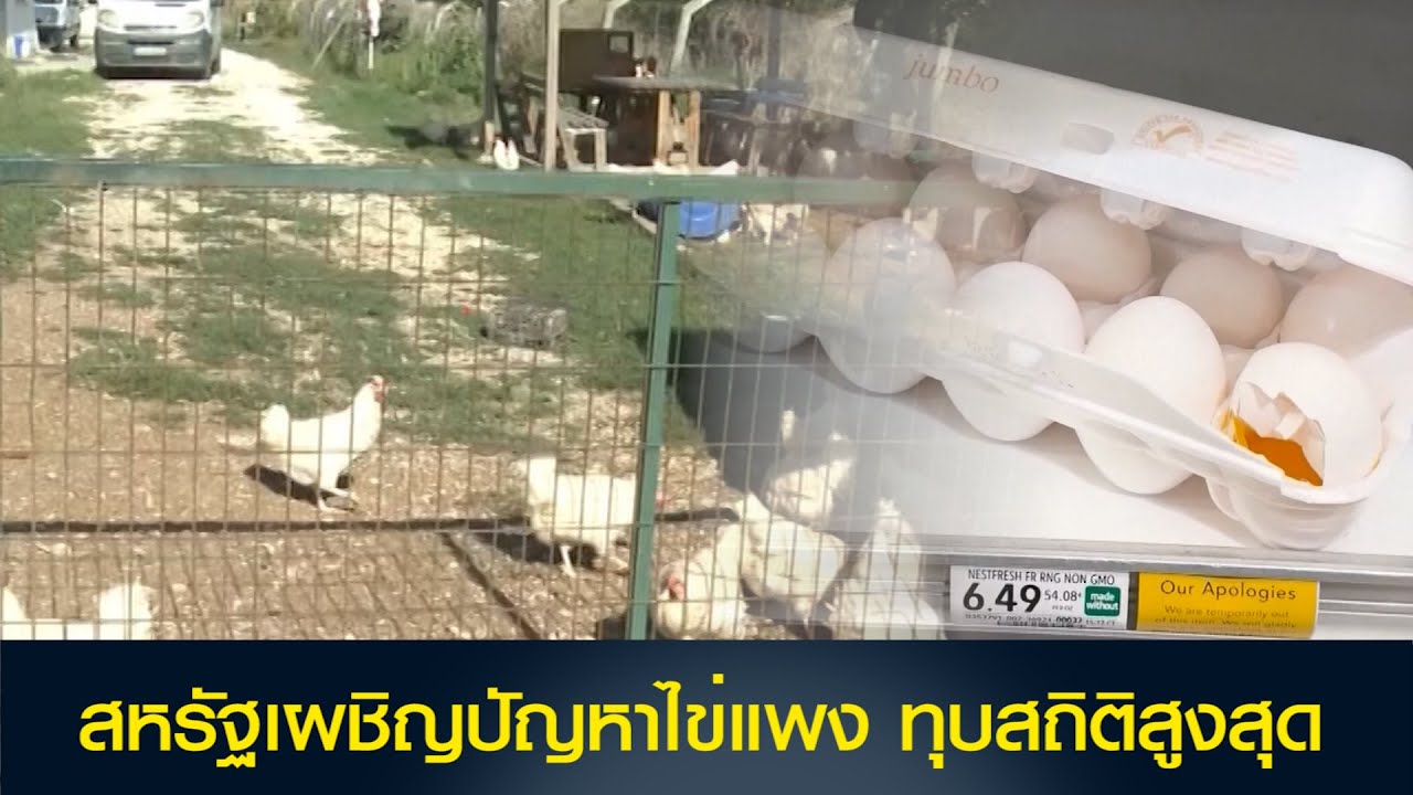 สหรัฐเผชิญปัญหาไข่แพง ทุบสถิติสูงสุด