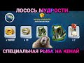 ЛОСОСЬ МУДРОСТИ специальная рыба на КЕНАЙ / Игровой процесс / Fishing Clash: Реальная рыбалка