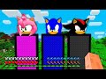I can BUILD a LONGEST AMY ROSE! SONIC! SHADOW SONIC PORTALS in Minecraft! WHICH SECRET PORTAL CHOOSE