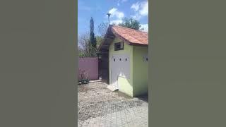 sp pangeran Sriwijaya Andi S 77 berkumandang dipulau Flores. respon jam 12.00 ❤️❤️❤️dimusim kemarau