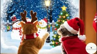 22_2025-11-10_10-02-14.mp4