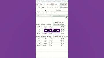How to Wrap Text in Excel #ExcelTips #Excel #TechTips #LetsCatapult #Formatting