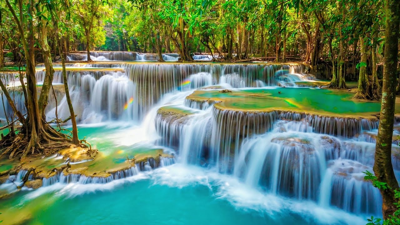 Jungle Waterfalls 4K Relaxing Water Sounds For Relaxation 4K Nature jungle-waterfalls-4k-relaxing-water-sounds-for-relaxation-4k-nature