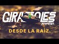 Capture de la vidéo Girasoles - Desde La Raíz [Documentarie]