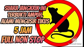 Suara Jangkrik Pengusir Tikus | Suara Ultrasonik Ampuh Pengusir Tikus | Cara Alami Mengusir Tikus screenshot 4