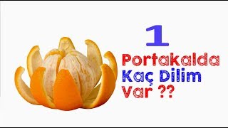 Bir Portakalda Kaç Dilim Var? Nasıl Bilebilirim