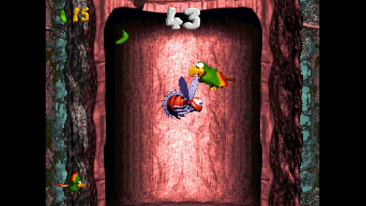 Springin Spiders, Secret Exit Warp Barrel, Bonus & DK Coins DKC3