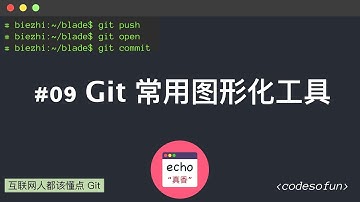 互联网人都该懂点 Git #09 Git 常用图形化工具