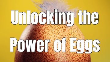 Unlocking the Power of Eggs: Health Benefits and Nutritional Insights