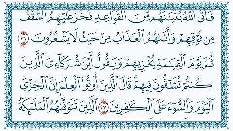 تلاوة هادئة سورة النحل - للشيخ ماهر المعيقلي - المصحف المرتل كاملا