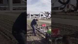 Aams  Oxford Lasers Visisize