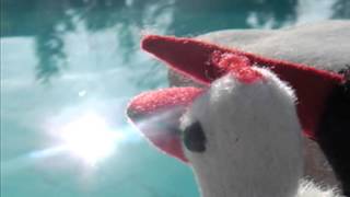 Elfendom - Seelenverstrubbelungen