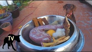 Kaia our 2 year old doberman eating raw turkey neck, green tripe, and
chicken feet interested in supporting channel for free? affiliate
links earn me a p...