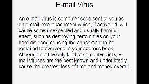 What is a Computer Virus?