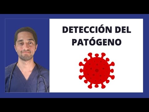Video: ¿Qué es la inmunología de PAMP?