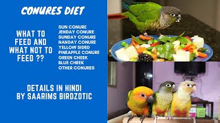 Conures Diet || Diet For Conures || Conures Food || Details In Hindi By Saarims Birdzotic screenshot 5