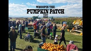Pumpkin Patch Whoopin 2017 & ONE-WAY WHOOP - Tiny Whoop