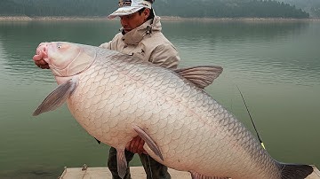 Câu cá Trắm đen khổng lồ trên dòng sông Linh hồn