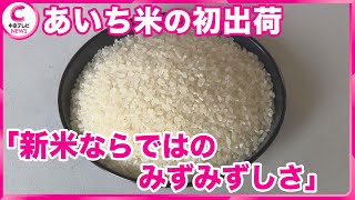 あいち米の初出荷　新米は２０２４年初　愛知・弥富市 愛知県で早くも新米 あいち米 が出荷 早場米の産地 愛知 弥富市で