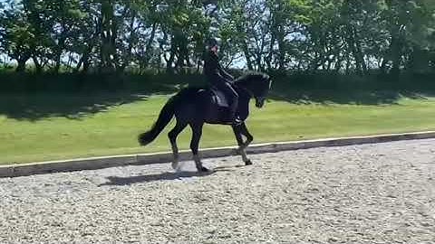 02897B40 3E37 459A 9141 6F10368E8C3A