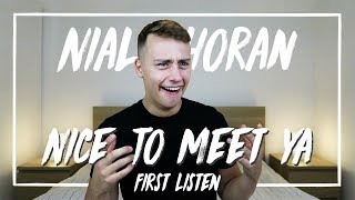 Download lagu Niall Horan Nice To Meet Ya Niall Horan Nice To Meet Ya