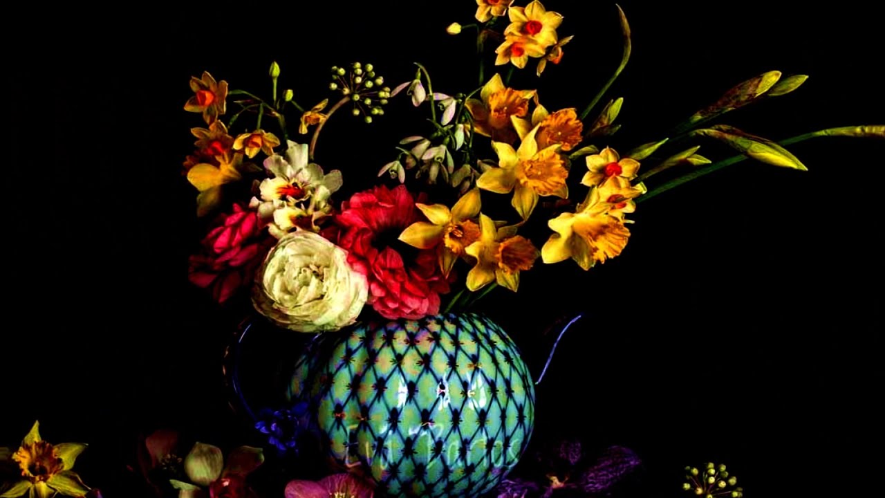 Beautiful and dazzling flowers! (HD1080p)