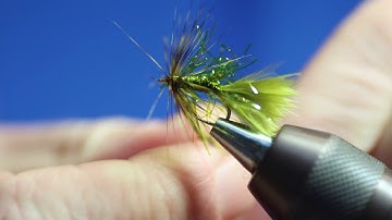 Straggle Damsel New HD Video 2020