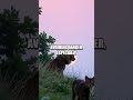 The Role of Animals in Wilderness Survival Training
