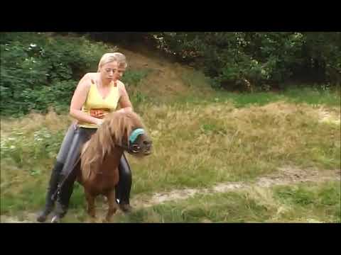 Riding Pony