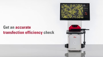 Measure transfection efficiency with the Mateo FL Digital Fluorescence Microscope
