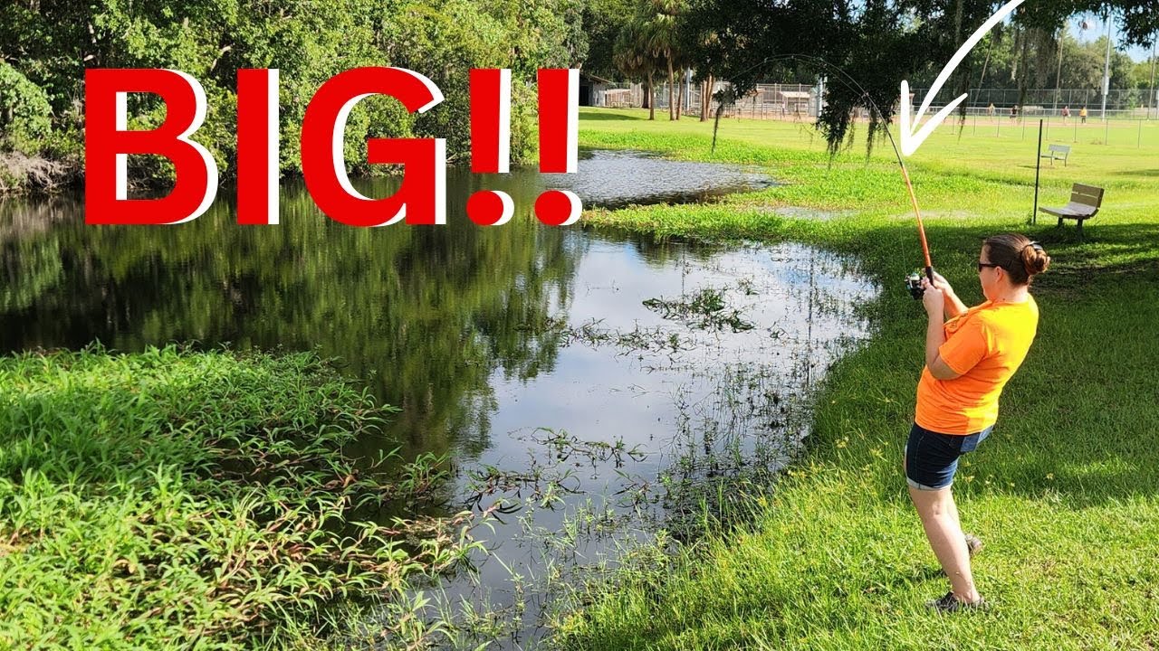 Exploring a Public Lake – INSANE Bluegill Fishing!! (BIG)