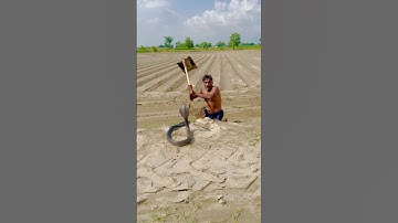 Oh man killing the snake