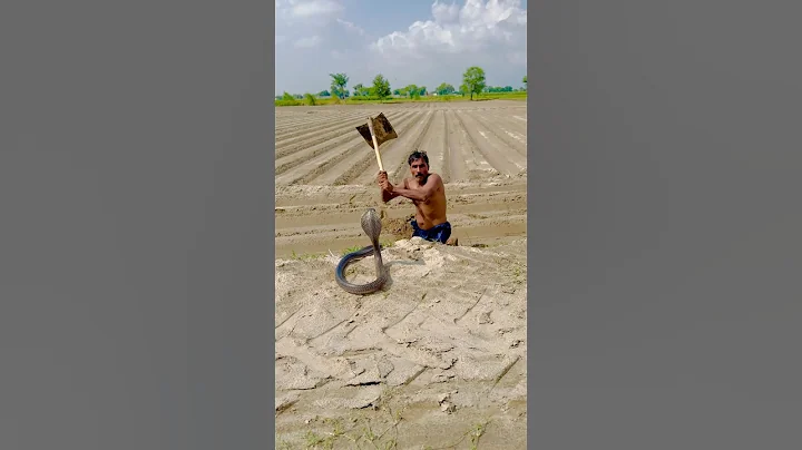 Oh man killing the snake