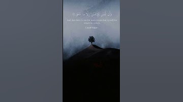 أَفَرَأَيْتَ الَّذِي تَوَلَّىٰ ٣٣۝ | سورة النجم | ابو بكر الشاطري | تلاوة جميلة وخاشعة وهادئه
