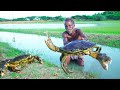 GIANT MUD CRABS COOKING | Delicious Grabs Omblate Recipe | Village Grandpa show