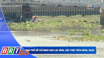 TP.HCM dọn lục bình, rác thải trên kênh, rạch | BRTgo