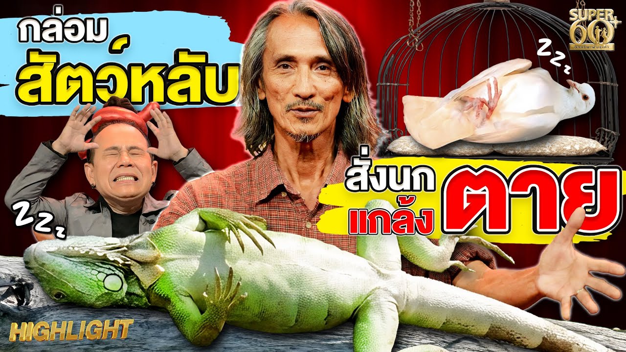 ฝึกสัตว์ขั้นปรมาจารย์ กล่อมหลับ แกล้งตายทำได้หมด  | HIGHLIGHT SUPER100