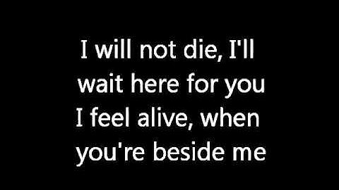 Three Days Grace - Time of Dying (lyrics)