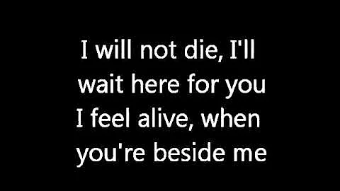 Three Days Grace - Time of Dying (lyrics)