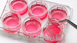 Corning Matrigel Matrix Thick Coat Method Best Practices Korean Subles