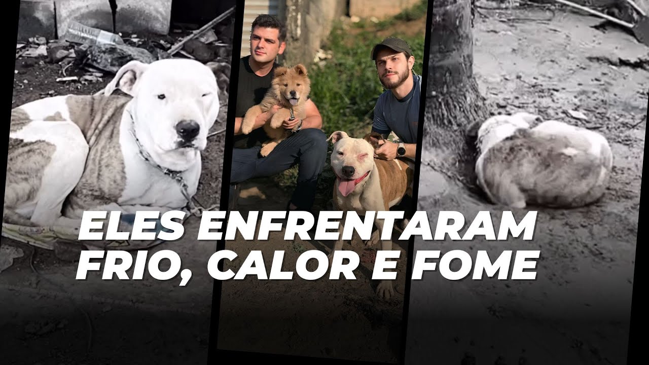 Eles enfrentaram frio, calor e fome!