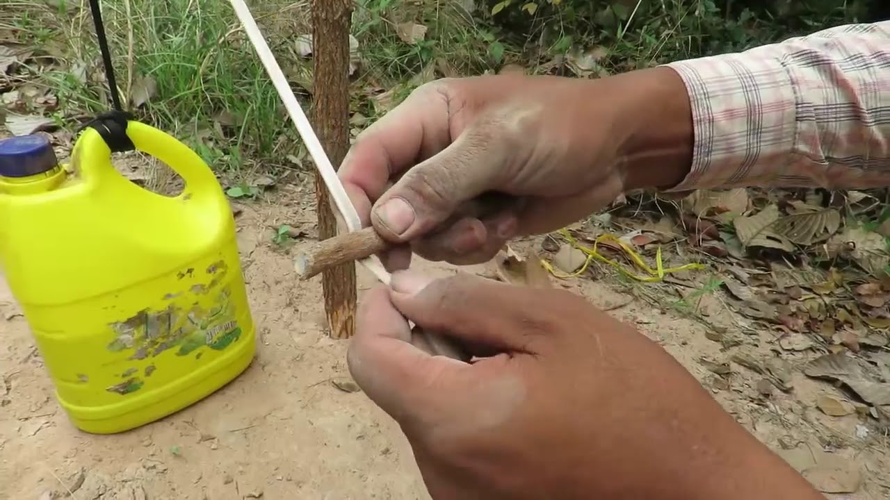 Real Tradition Biggest Bird Trapping in Cambodia   Best Turkey Trap By 3L Bottle Work 100%