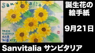 誕生花の絵手紙 9月21日 Sanvitalia サンビタリア Youtube