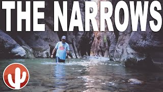 A Completionist's Guide to Hiking THE NARROWS Bottom Up | Zion National Park